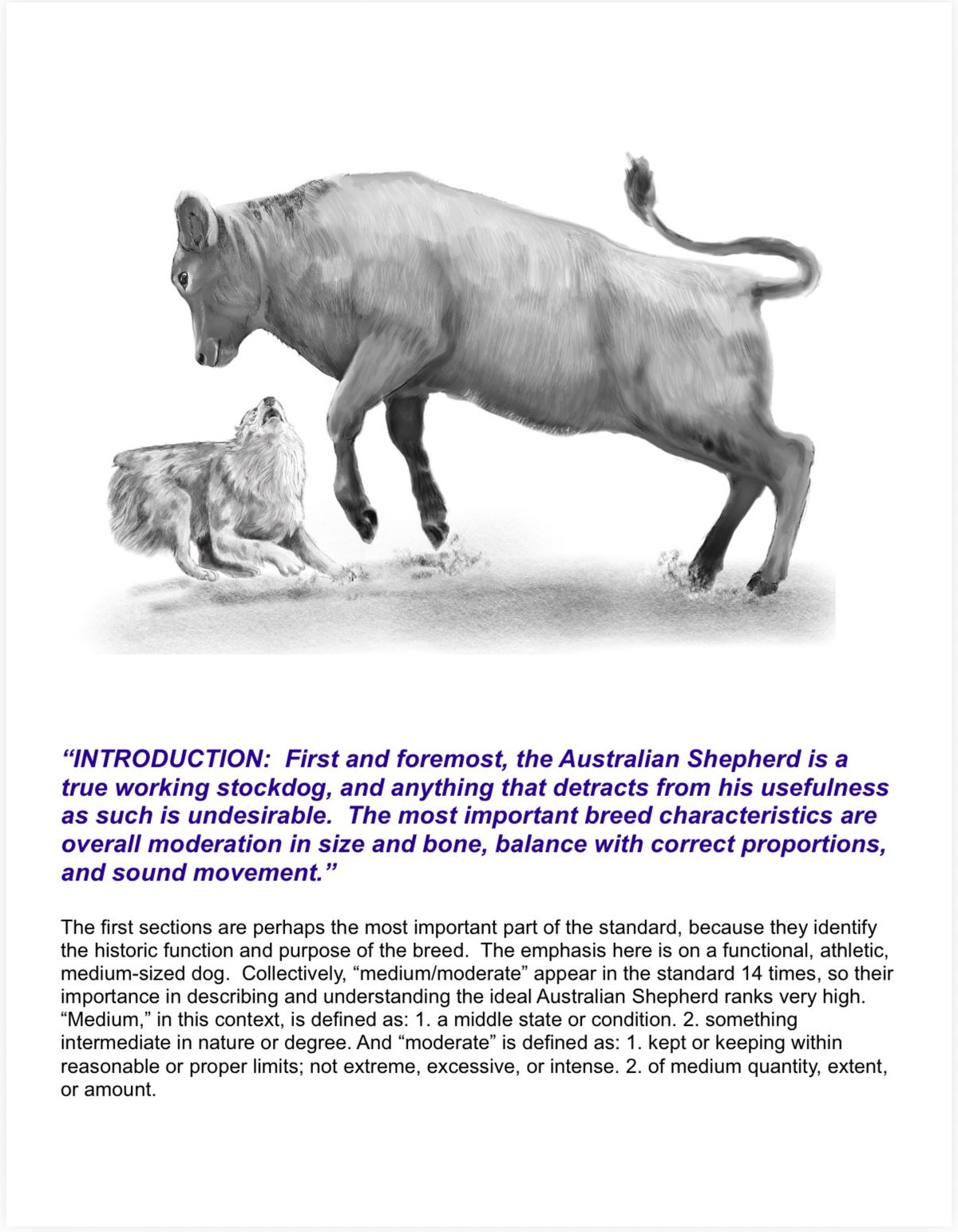 Illustrated Breed Standard
